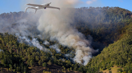 Sensor for early wildfire detection on the basis of UAS "Raybird-3"