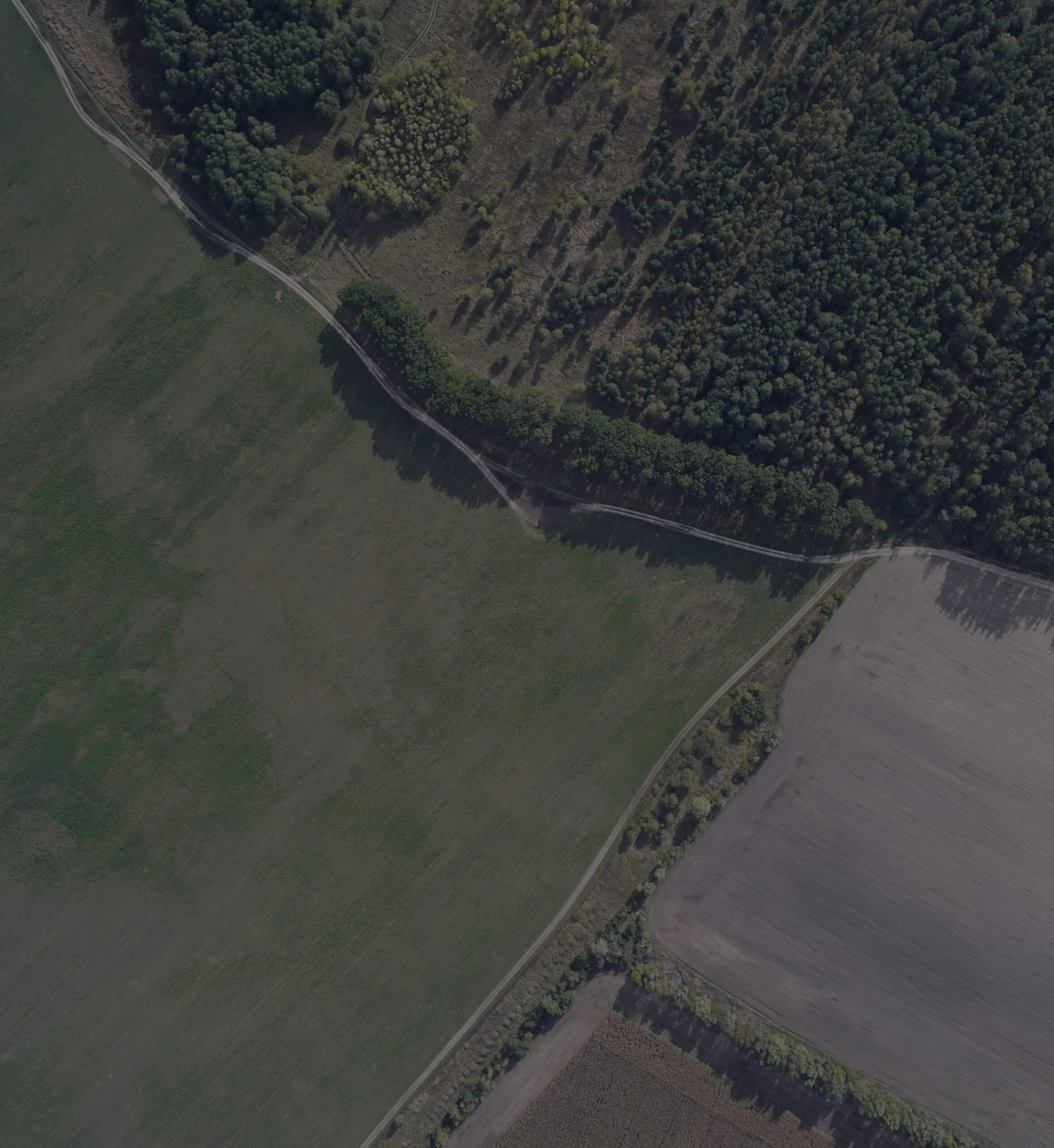 Field