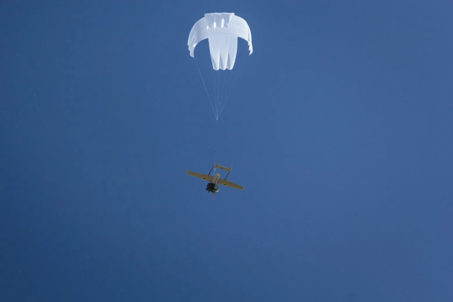 20250321 133646 142 Barbados