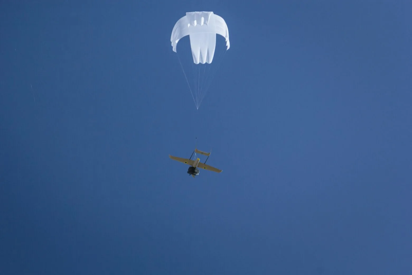 20250321 133646 142 Barbados