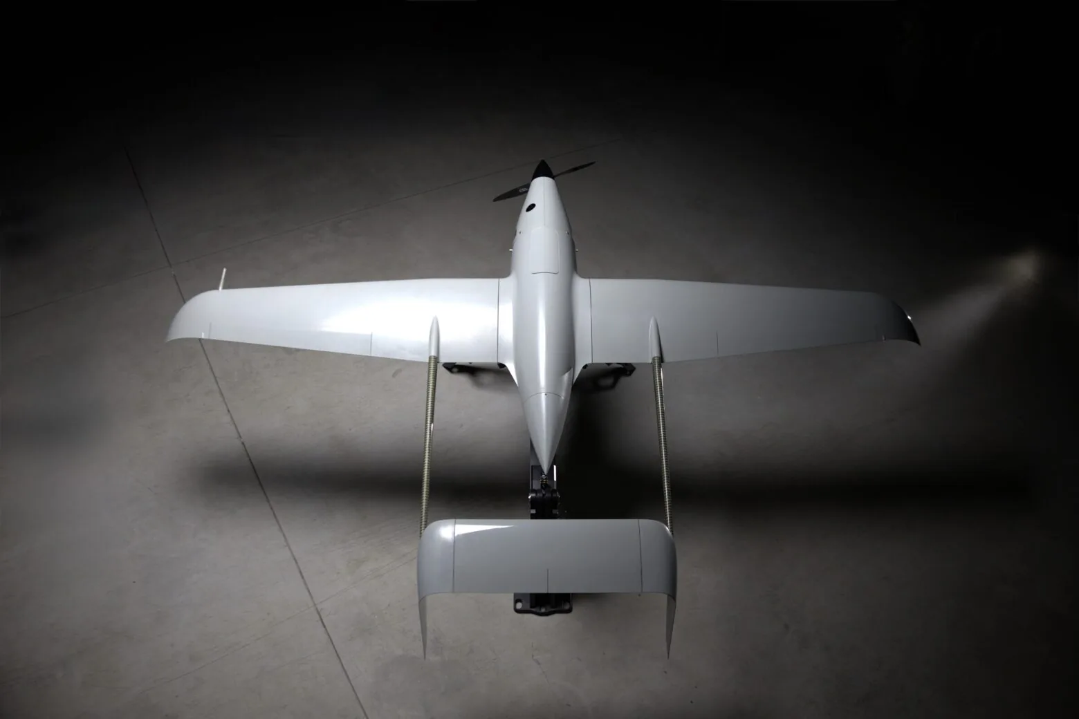 Raybird UAV. Source Skyeton