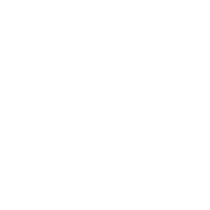 Skyeton logo